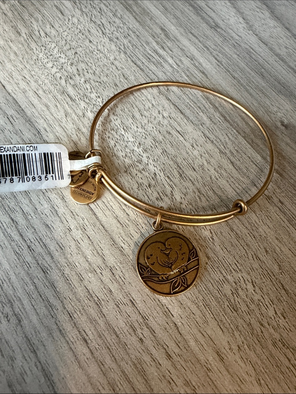 Alex and Ani Gold Tone Dove Medallion Adjustable Bangle